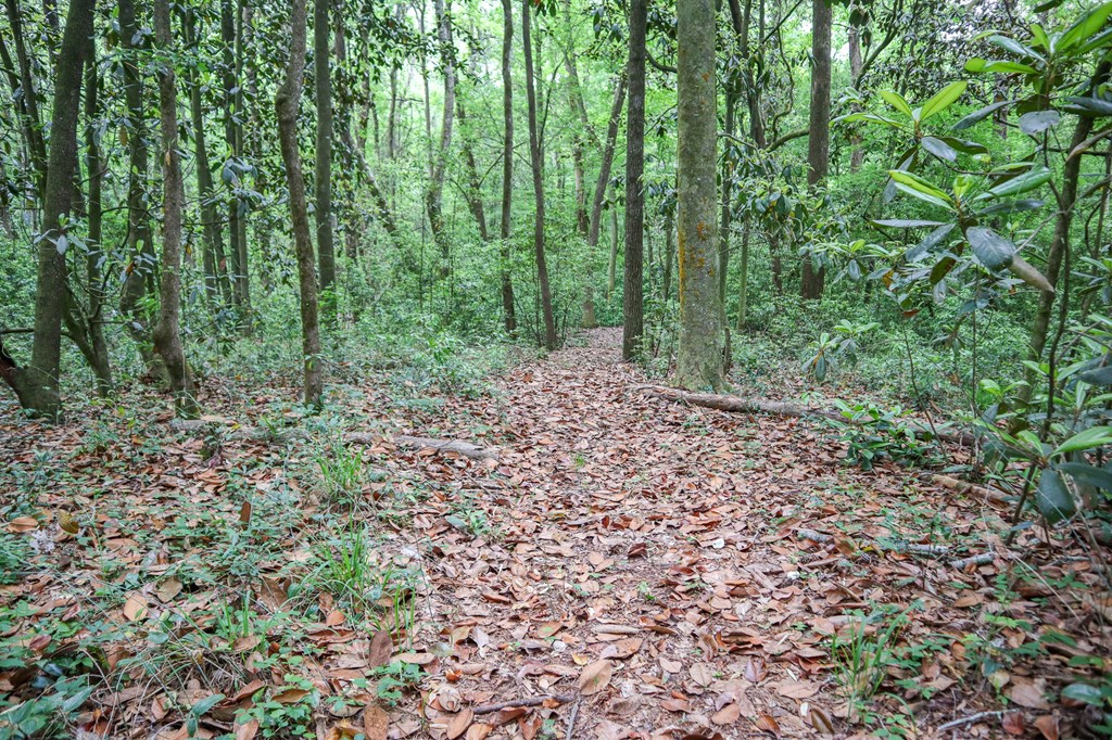 8147 Judge Logue Road Newton, AL 36352 - Photo 16 of 35