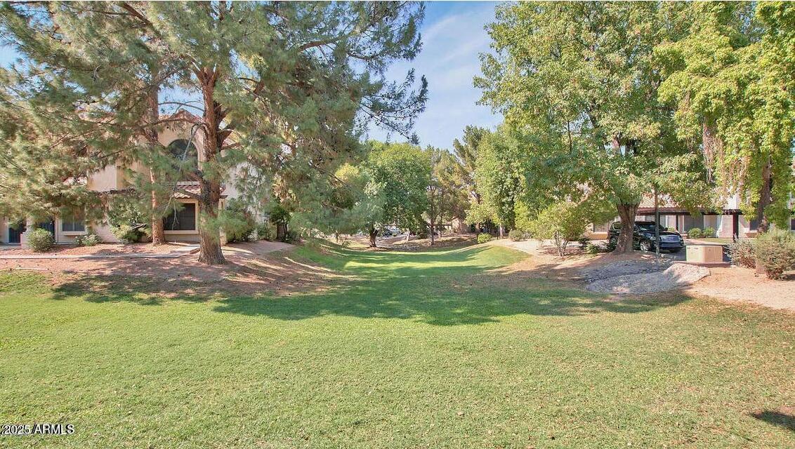 921 West University Drive, Unit 1010 Mesa, AZ 85201 - Photo 23 of 24 a view of yard with tree