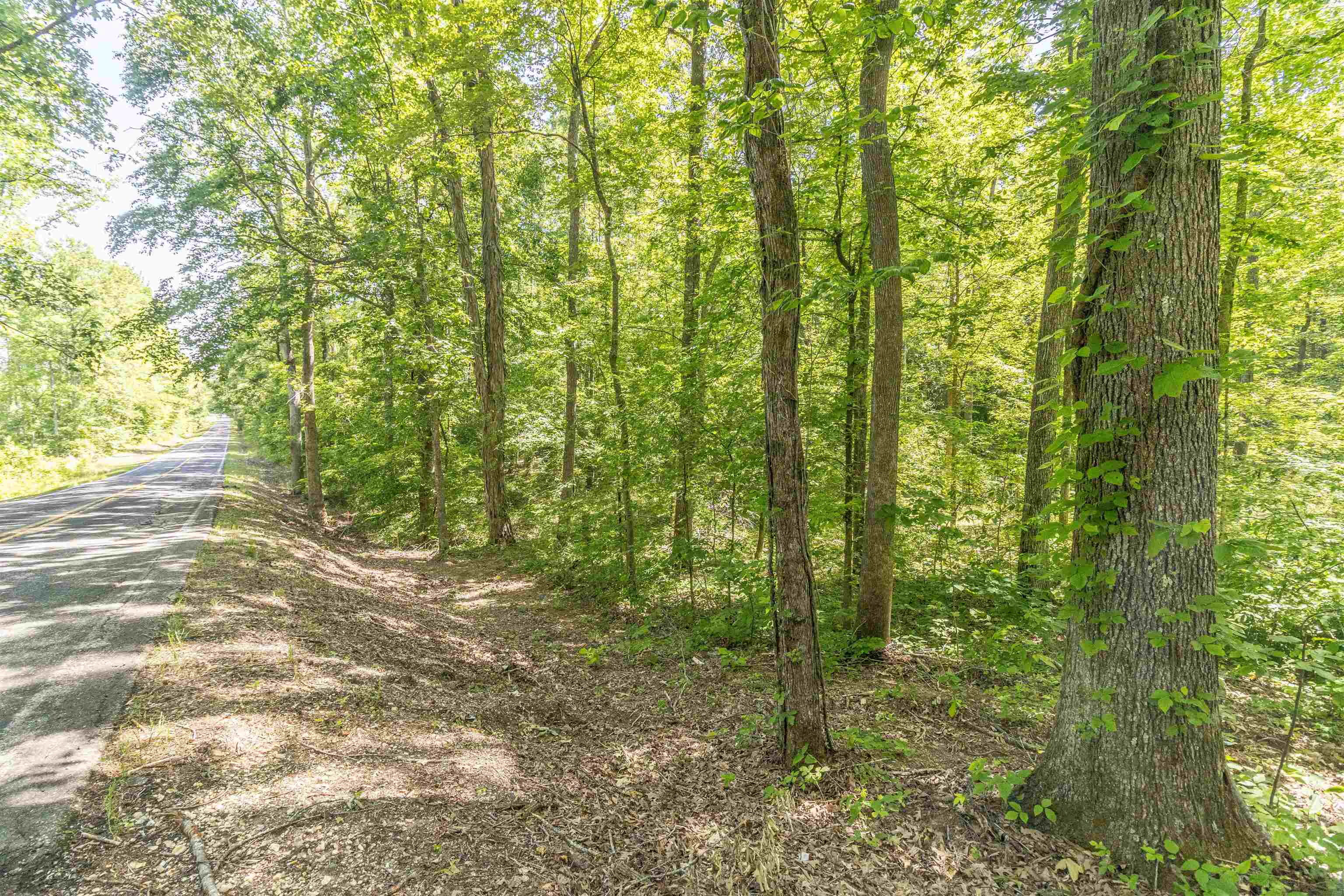 1540 A Chewalla Road Ramer, TN 38367 - Photo 4 of 4 a view of a yard with plants and large trees