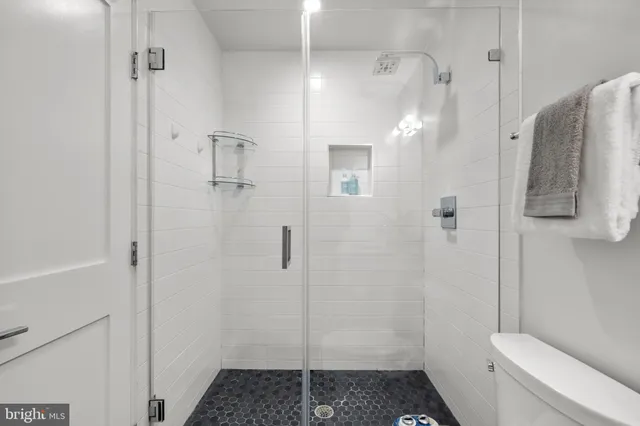 a bathroom with a shower and toilet