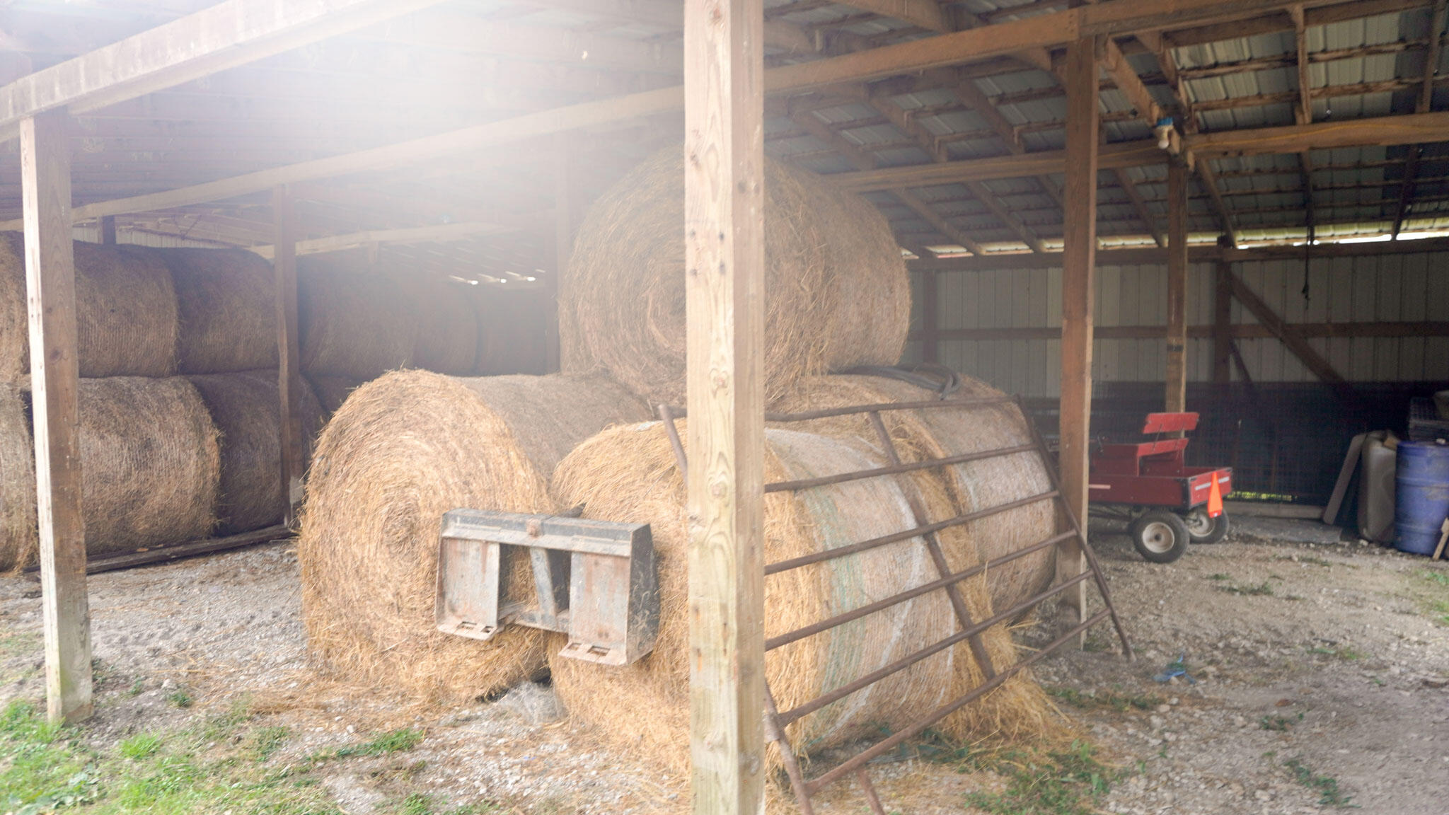 965 Turkey Creek Road Windsor, KY 42565 - Photo 56 of 65 CaseyCounty-125