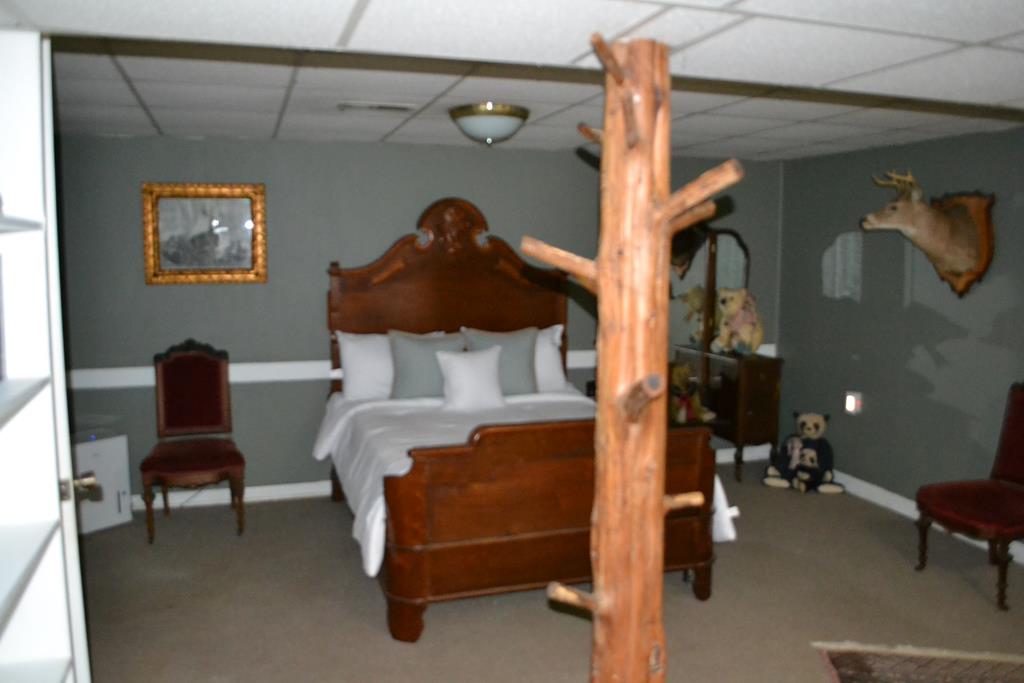455 Taro Road Cullen, VA 23934 - Photo 20 of 36 Gallery Image 20