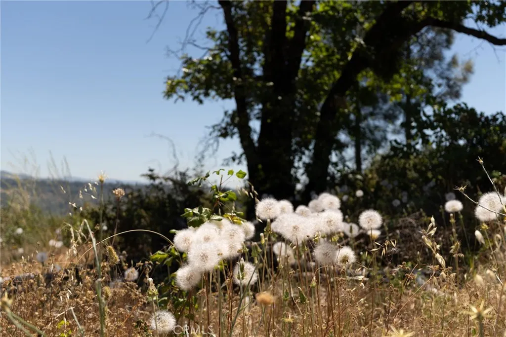 0 Doe Mill Road Magalia, CA 95954 - Photo 15 of 48 Gallery Image 15