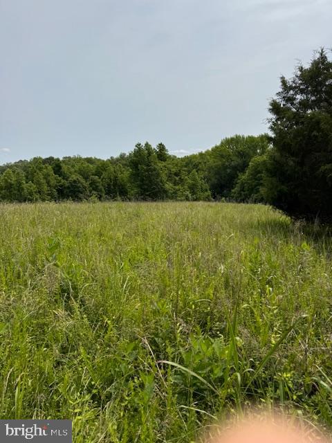 1-1-1 Mathias Point Road King George, VA 22485 - Photo 4 of 7 a view of a field with a lake