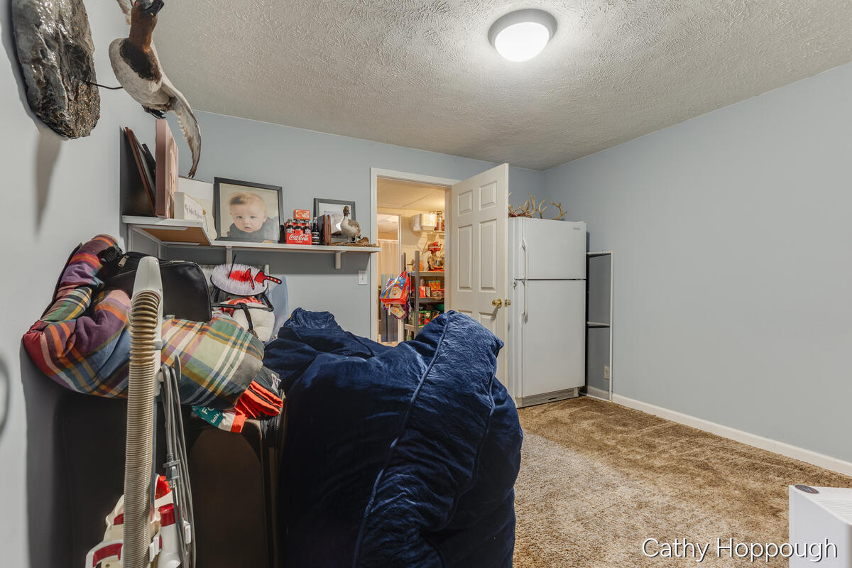 8152 Murphy Road Lyons, MI 48851 - Photo 28 of 74