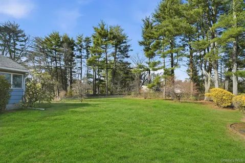 a tall tree in middle of green field