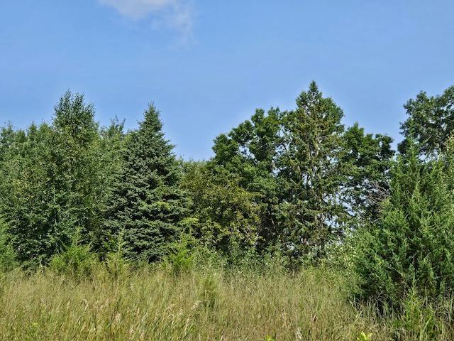 13502 Johnson Street Southeast Becker, MN 55308 - Photo 1 of 5