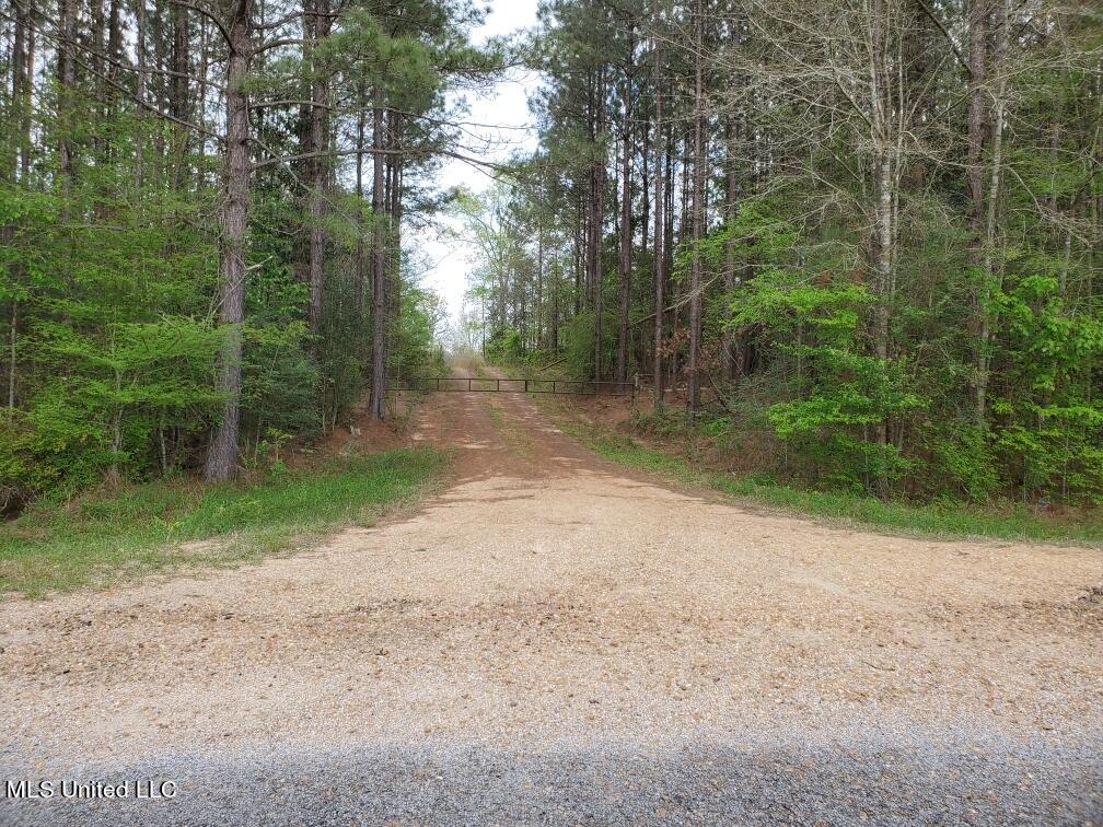 No Enterprise Road Summit, MS 39666 - Photo 11 of 26 Resized_20230323_163701