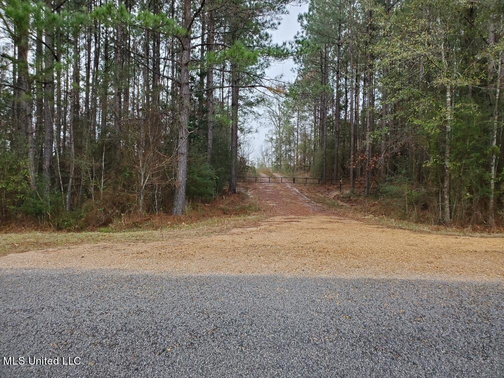 No Enterprise Road Summit, MS 39666 - Photo 10 of 26 Pic1