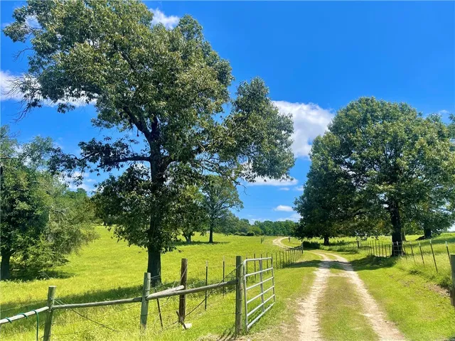 a view of a big yard with a large trees