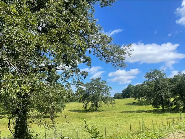 $815,000 | 917 An County Road 3051 Countyroad, Unit COUNTYROAD, Frankston, TX 75763