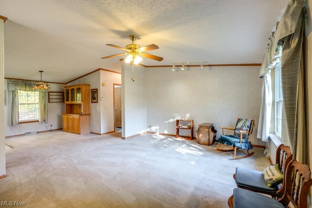 1189 Sandy Lake Road Ravenna, OH 44266 - Photo 13 of 32 Unfurnished room with crown molding, vaulted ceiling, ceiling fan, a textured ceiling, and light carpet