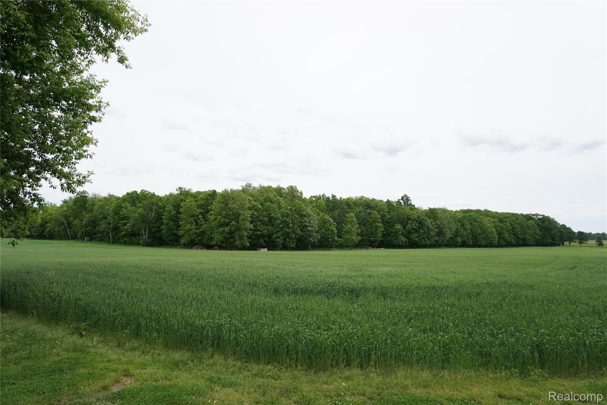 8866 Bricker Road Avoca, MI 48006 - Photo 24 of 51 8866 Bricker