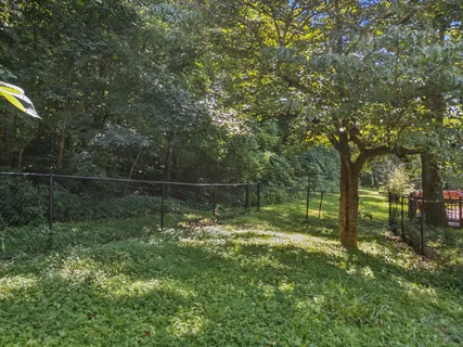 a view of a backyard with large trees