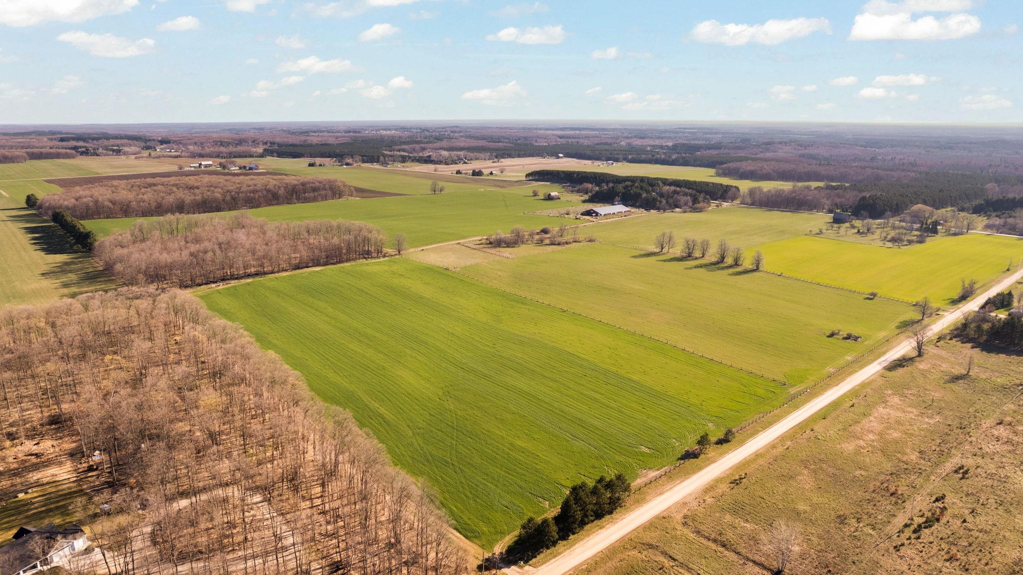 Tbd Blackman Road Kingsley, MI 49649 - Photo 10 of 20