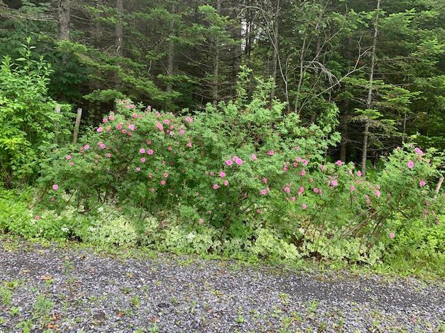 107 Smithfield Road Oakland, ME 04963 - Photo 13 of 13 13