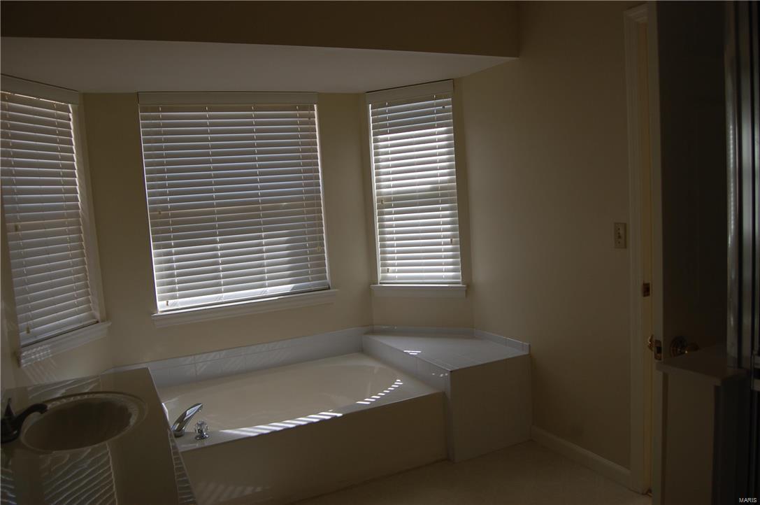 416 Copper Tree Trail O'Fallon, MO 63368 - Photo 10 of 27