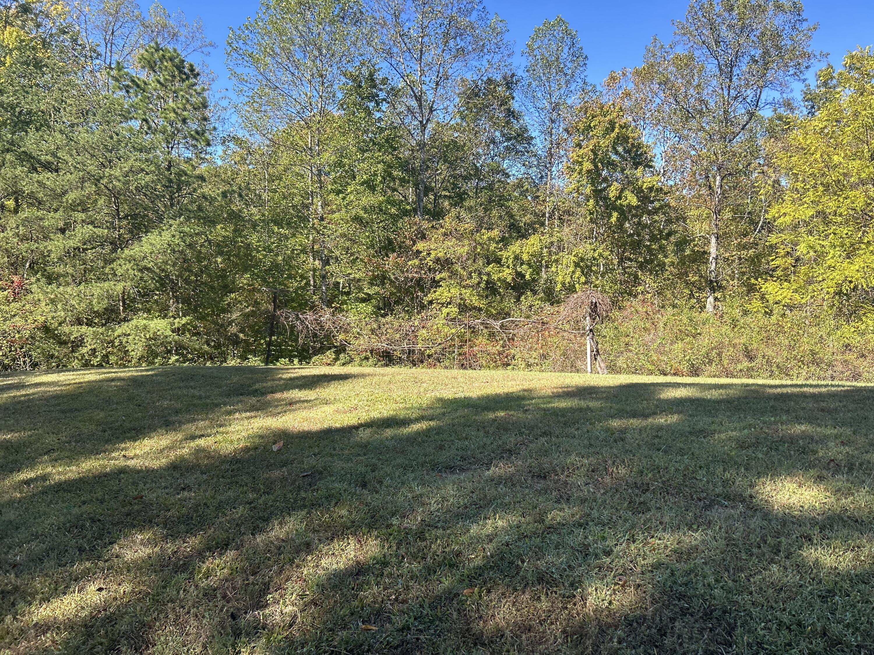 141 D D Rogers Road Zoe, KY 41397 - Photo 23 of 64 IMG_5555