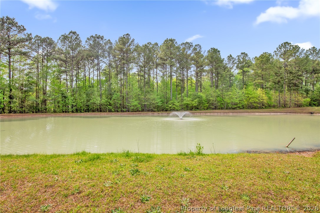 195 Falling Water Road Spring Lake, NC 28390 - Photo 41 of 47