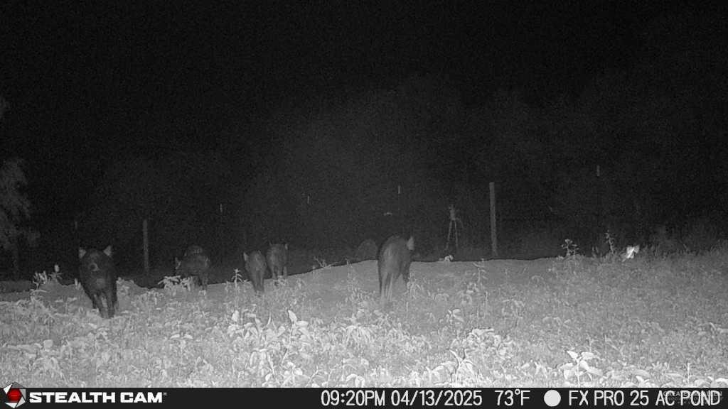 1645 Cr 288 Road Concepcion, TX 78349 - Photo 34 of 42 a view of outdoor space with lots of green space