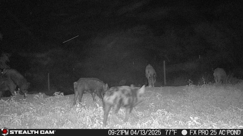 1645 Cr 288 Road Concepcion, TX 78349 - Photo 35 of 42 a view of a wooden floor