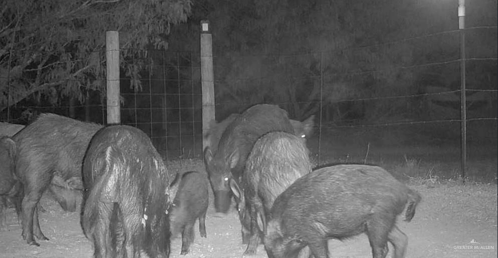 1645 Cr 288 Road Concepcion, TX 78349 - Photo 37 of 42