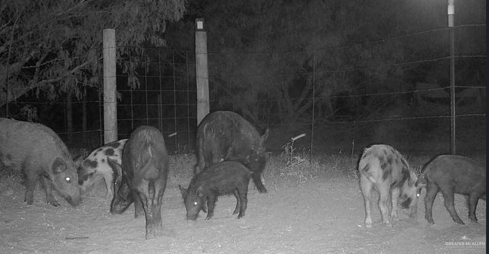 1645 Cr 288 Road Concepcion, TX 78349 - Photo 39 of 42 a close view of tap