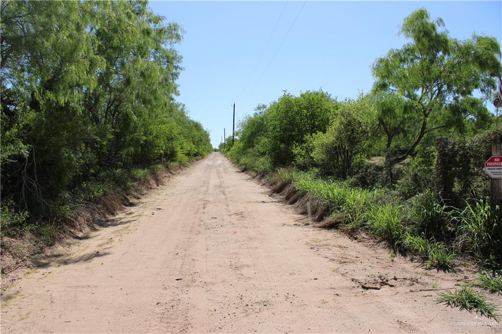 1645 Cr 288 Road Concepcion, TX 78349 - Photo 4 of 42 a view of a dirt road with trees in front of it