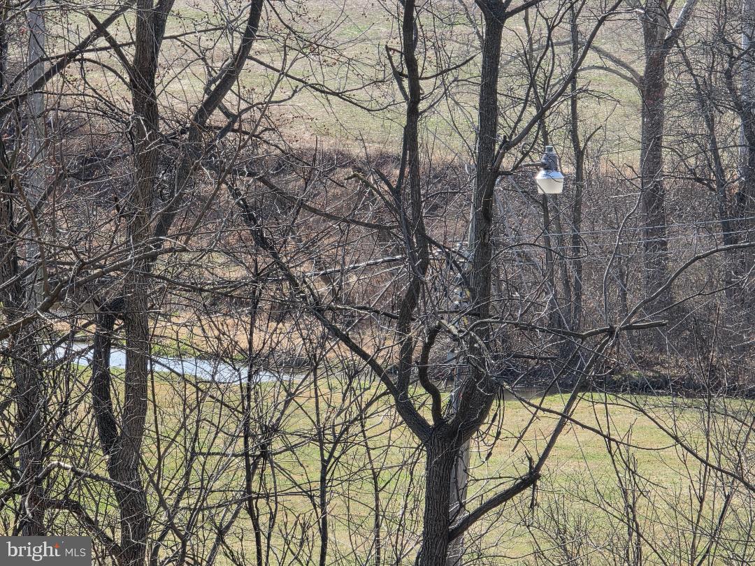 783 West 3rd Street Waynesboro, PA 17268 - Photo 3 of 6 a view of trees and covered with snow
