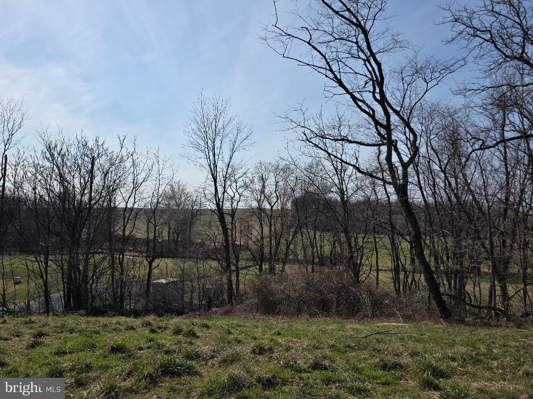 783 West 3rd Street Waynesboro, PA 17268 - Photo 4 of 6 a view of backyard space