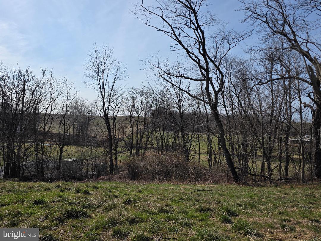 783 West 3rd Street Waynesboro, PA 17268 - Photo 5 of 6 a view of a backyard