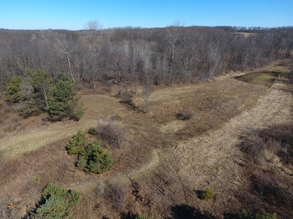 5001 Beulow Road Allen, MI 49227 - Photo 15 of 32 13