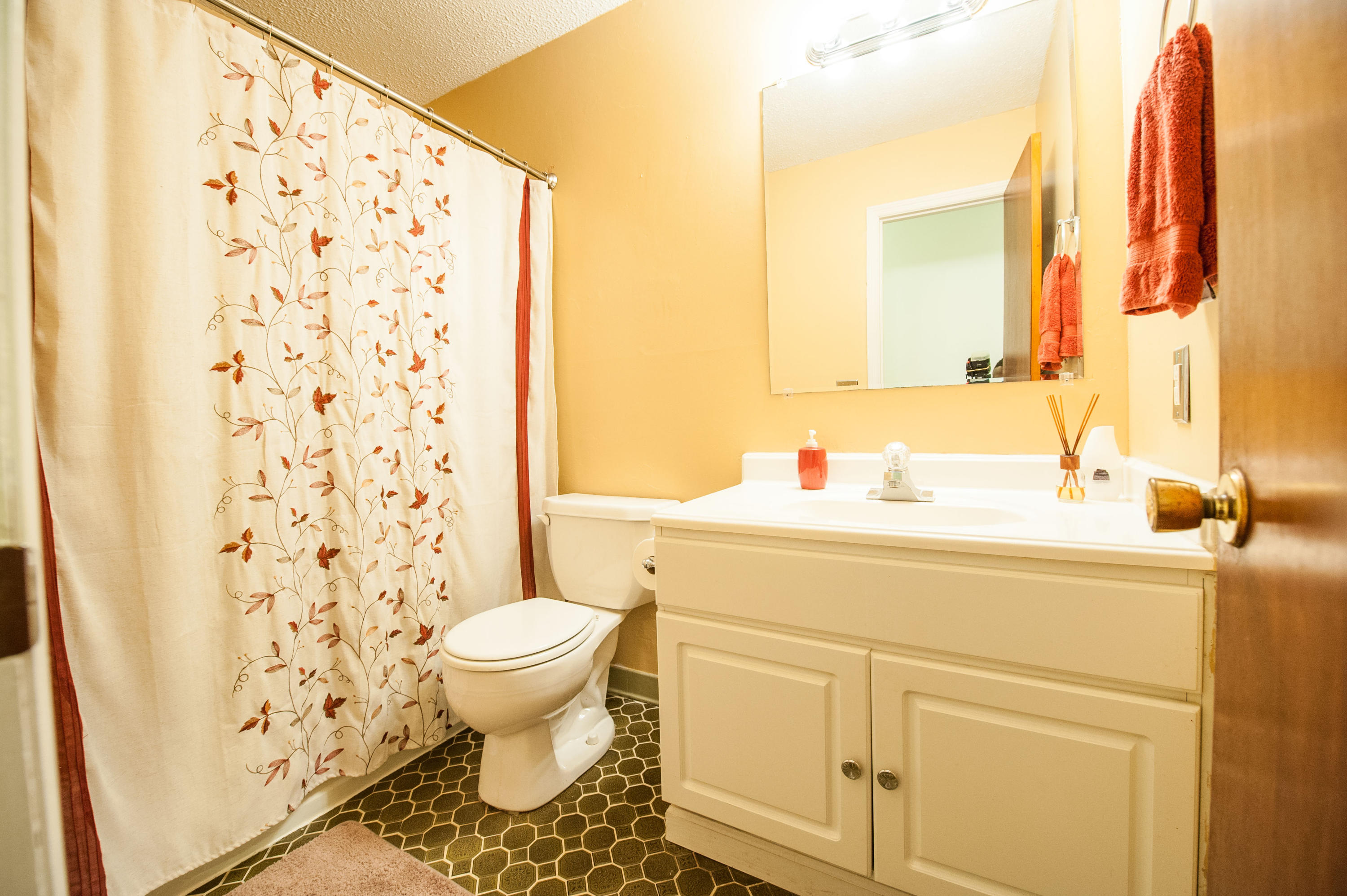 311 Heber Road Summerville, SC 29485 - Photo 5 of 13 311 Heber Bathroom 1