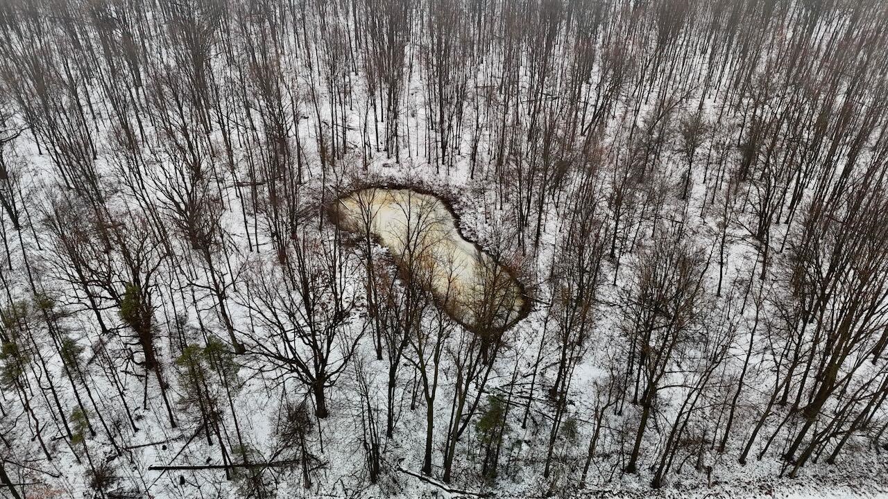 V/l South Chapin Road Elsie, MI 48831 - Photo 5 of 20