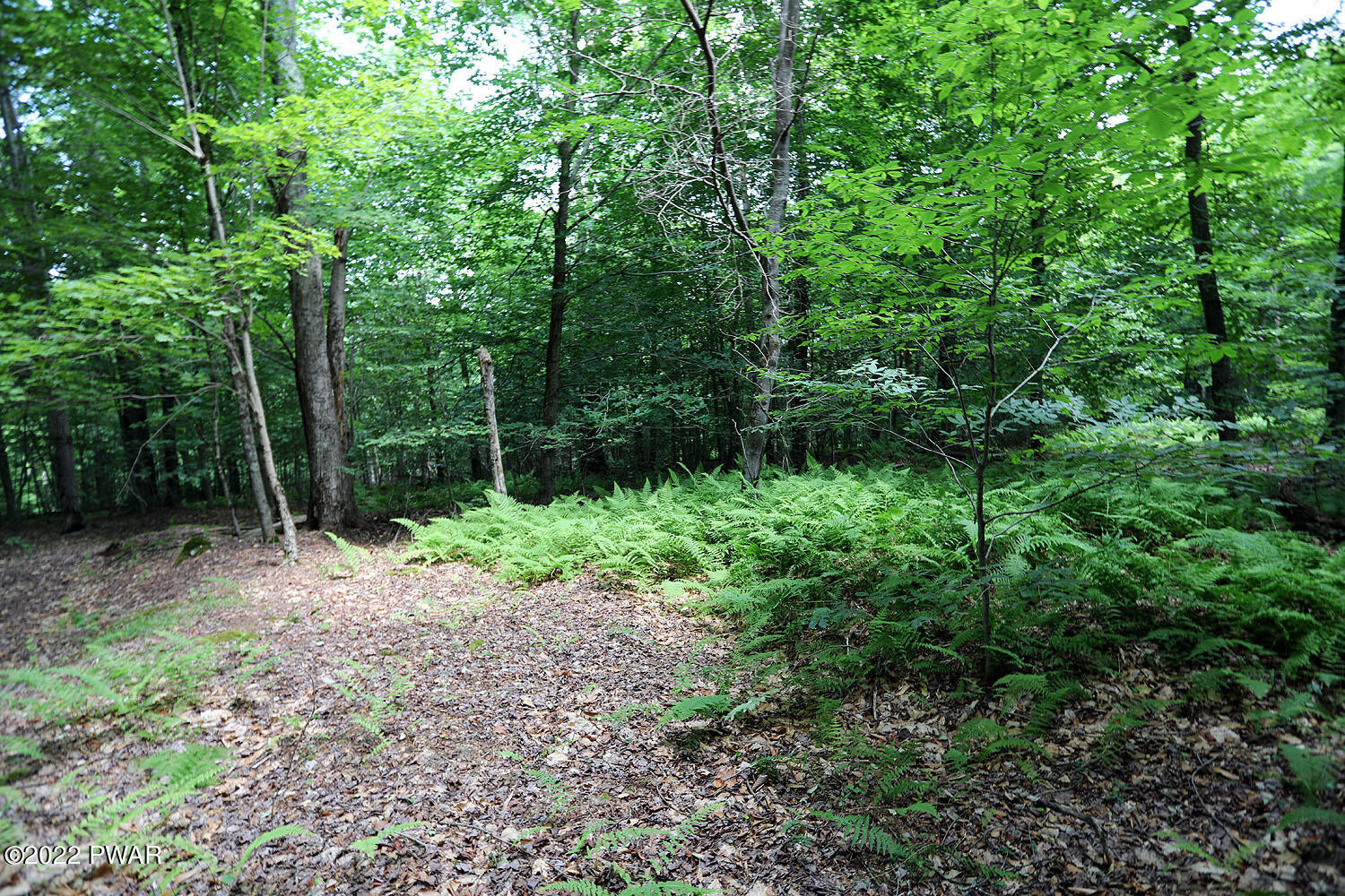 0 Minckler Mountain Road Damascus, PA 18415 - Photo 36 of 43