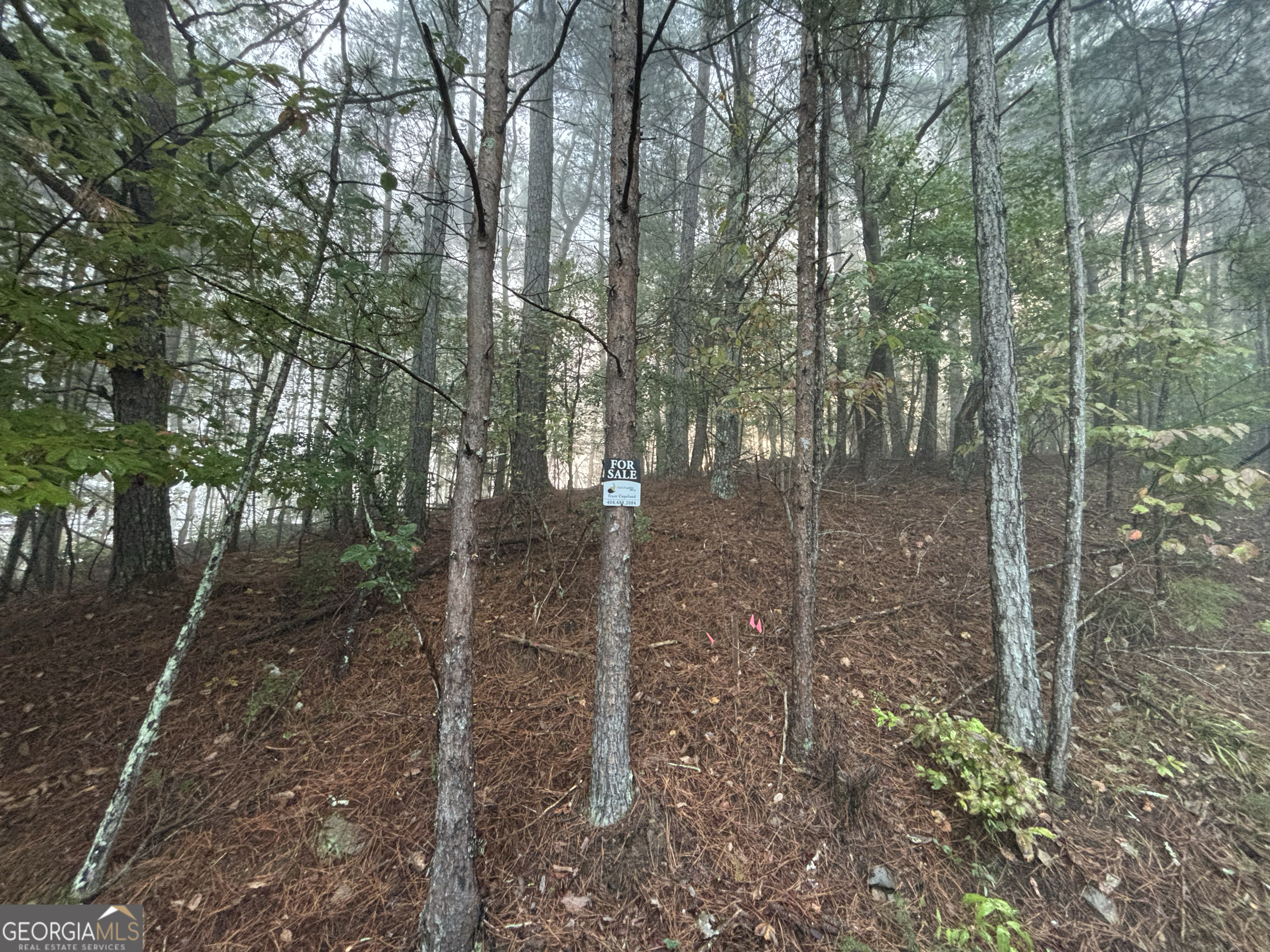 1744 Meadow Lane Talking Rock, GA 30175 - Photo 13 of 17