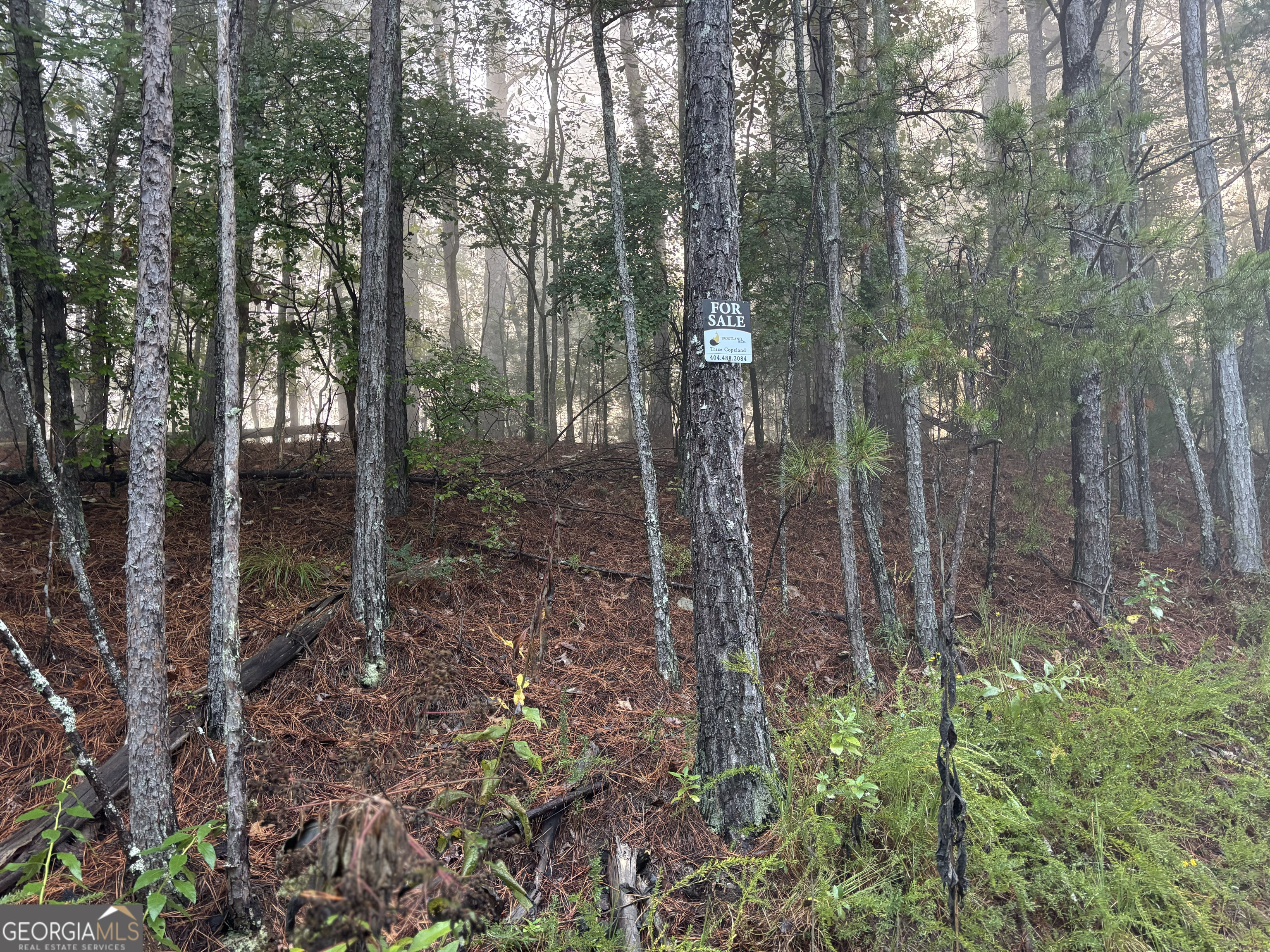 1744 Meadow Lane Talking Rock, GA 30175 - Photo 14 of 17