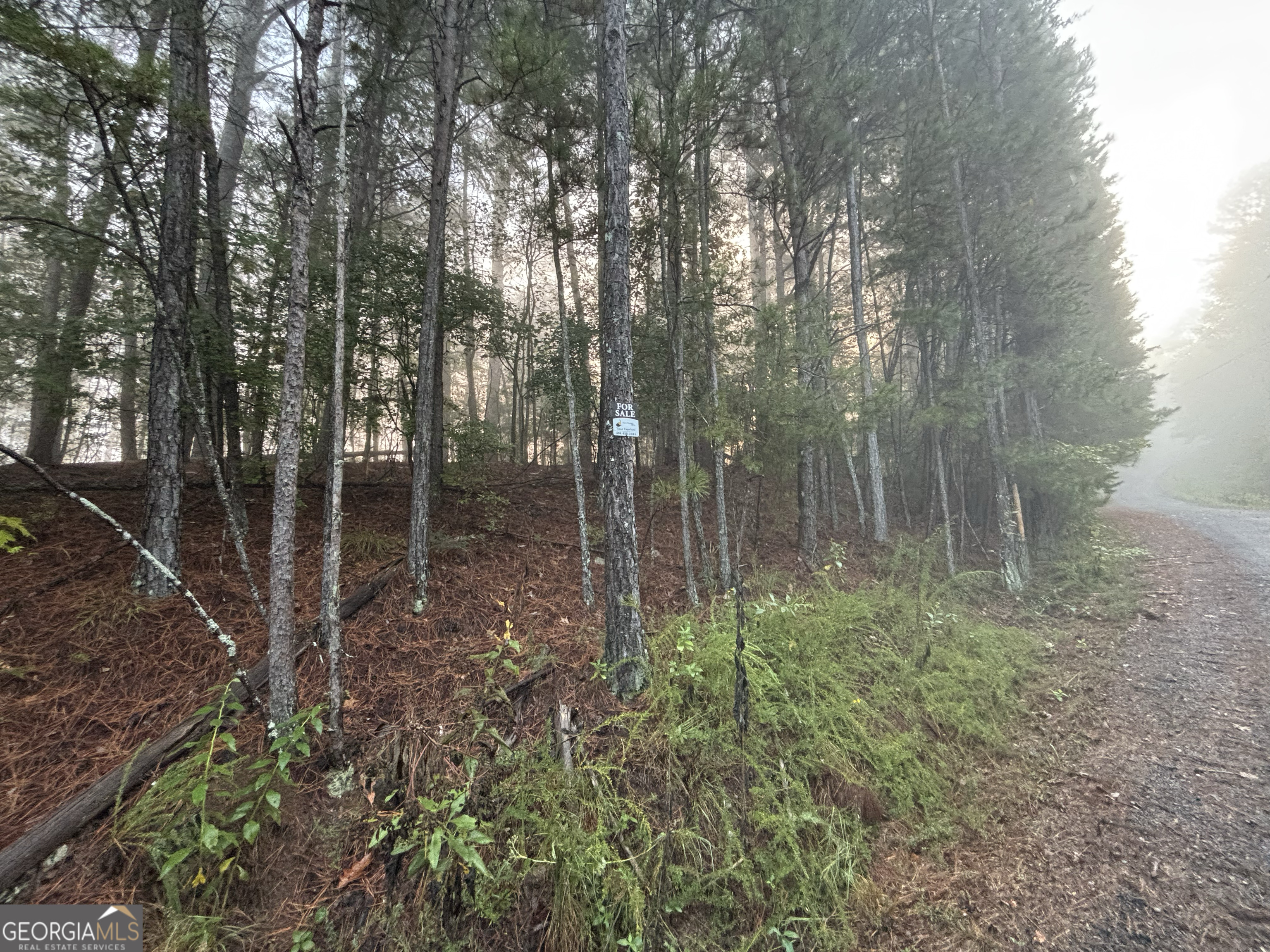 1744 Meadow Lane Talking Rock, GA 30175 - Photo 15 of 17