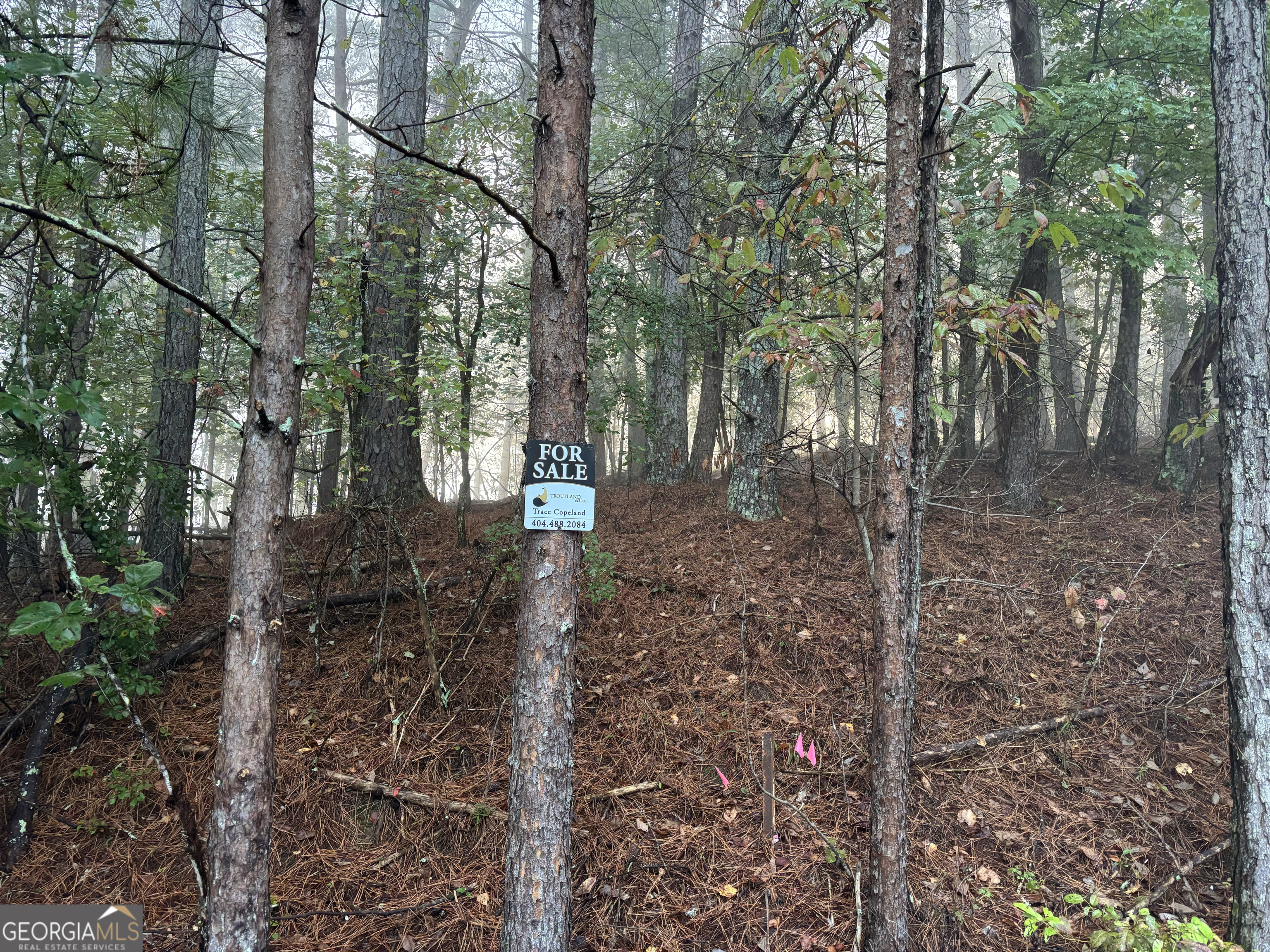 1744 Meadow Lane Talking Rock, GA 30175 - Photo 5 of 17