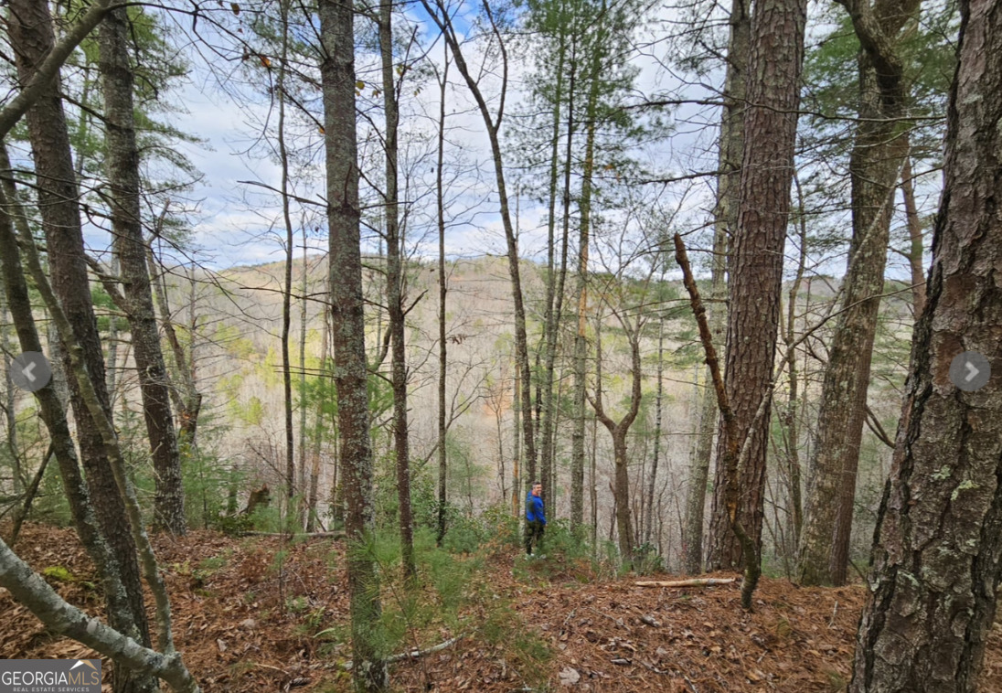 1744 Meadow Lane Talking Rock, GA 30175 - Photo 7 of 17