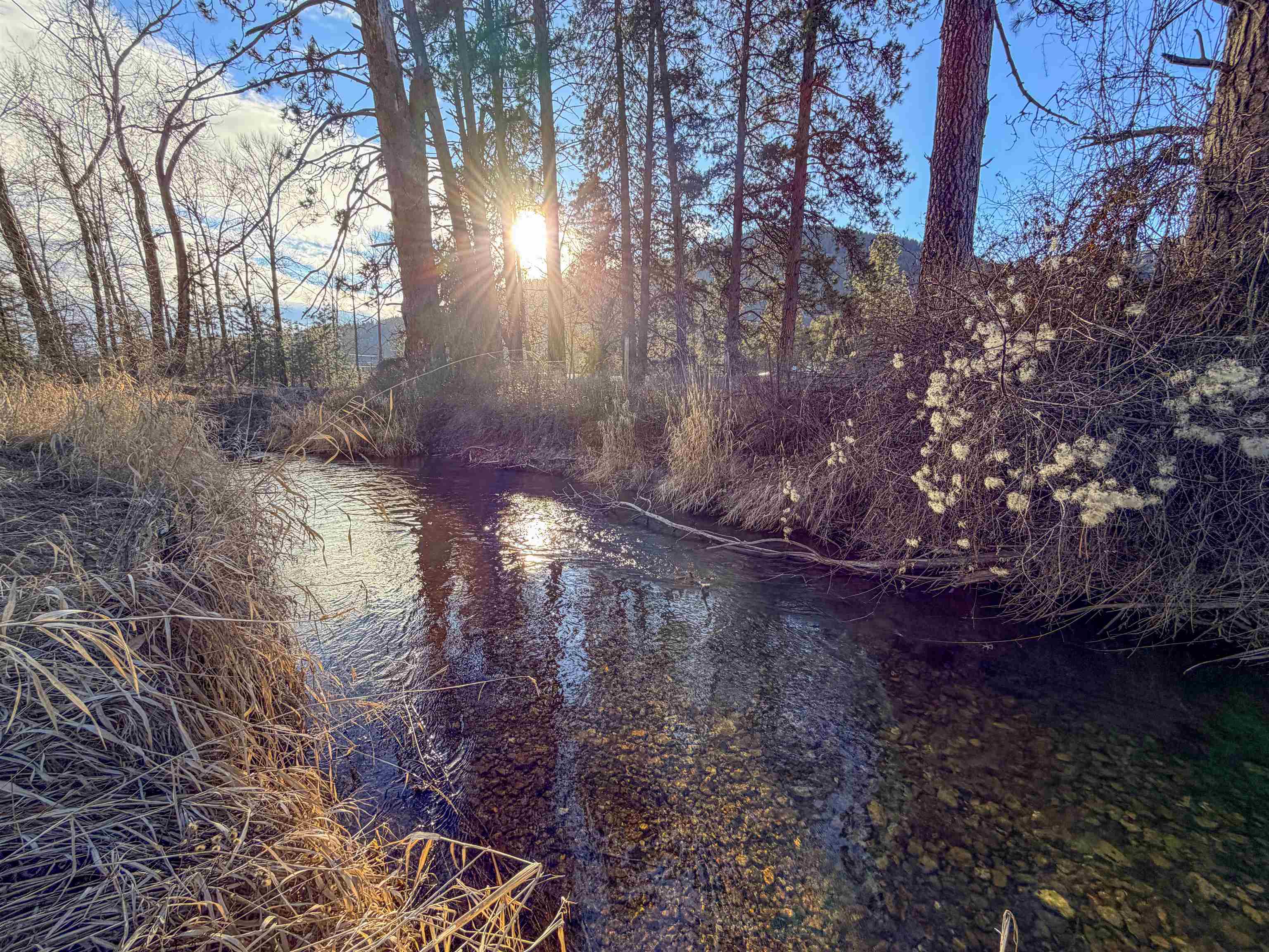 32 X Aladdin Road Colville, WA 99114 - Photo 11 of 27