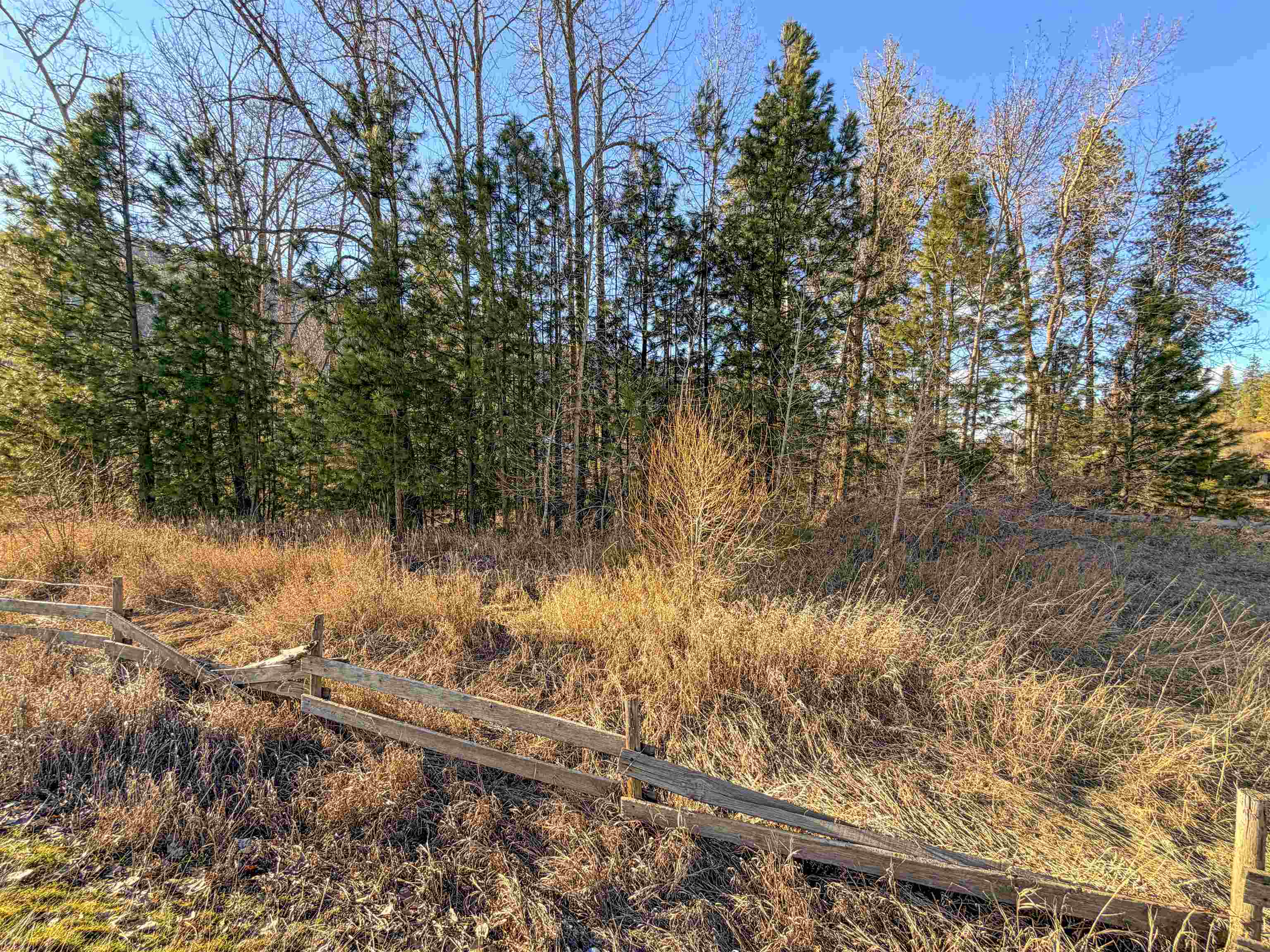 32 X Aladdin Road Colville, WA 99114 - Photo 13 of 27