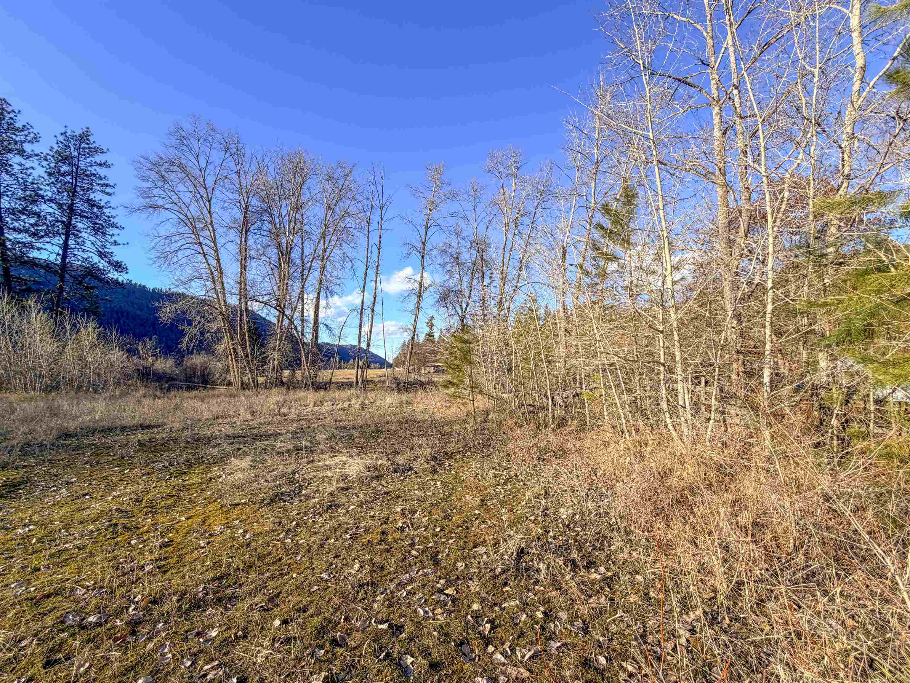 32 X Aladdin Road Colville, WA 99114 - Photo 17 of 27