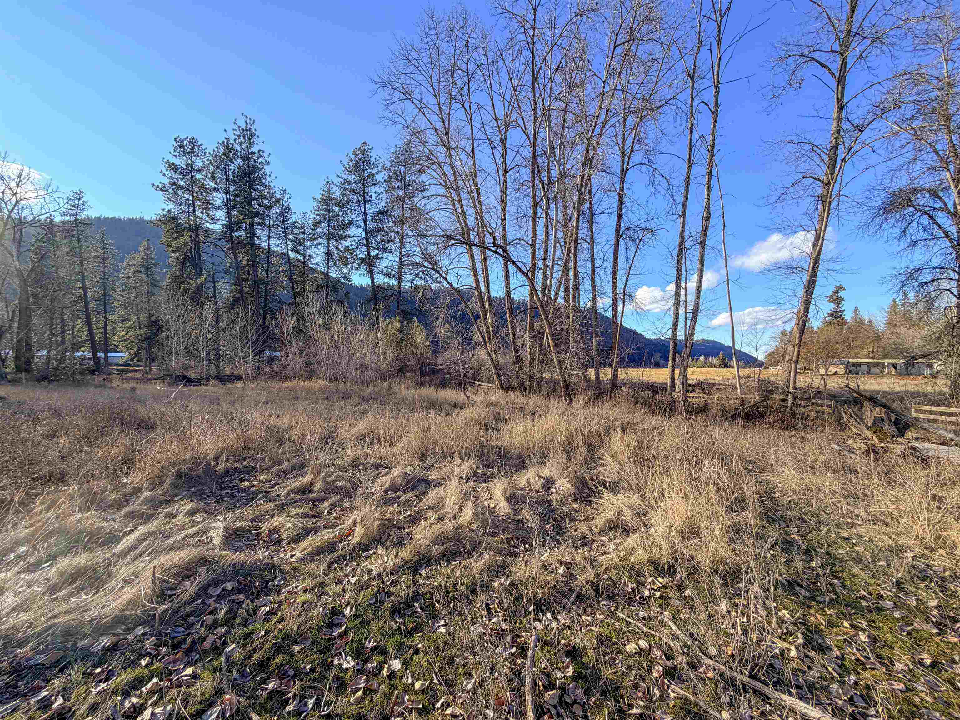 32 X Aladdin Road Colville, WA 99114 - Photo 18 of 27