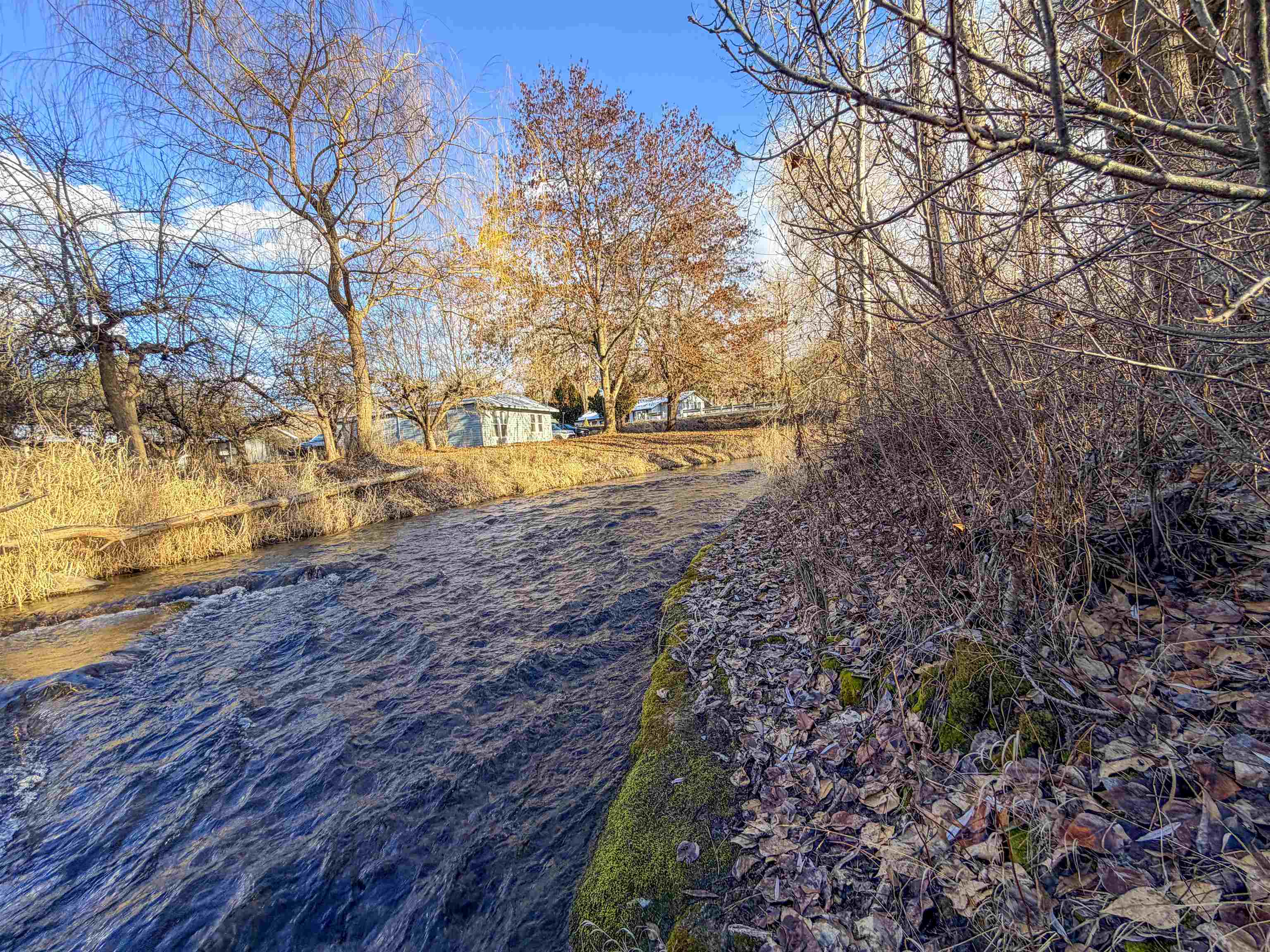 32 X Aladdin Road Colville, WA 99114 - Photo 19 of 27