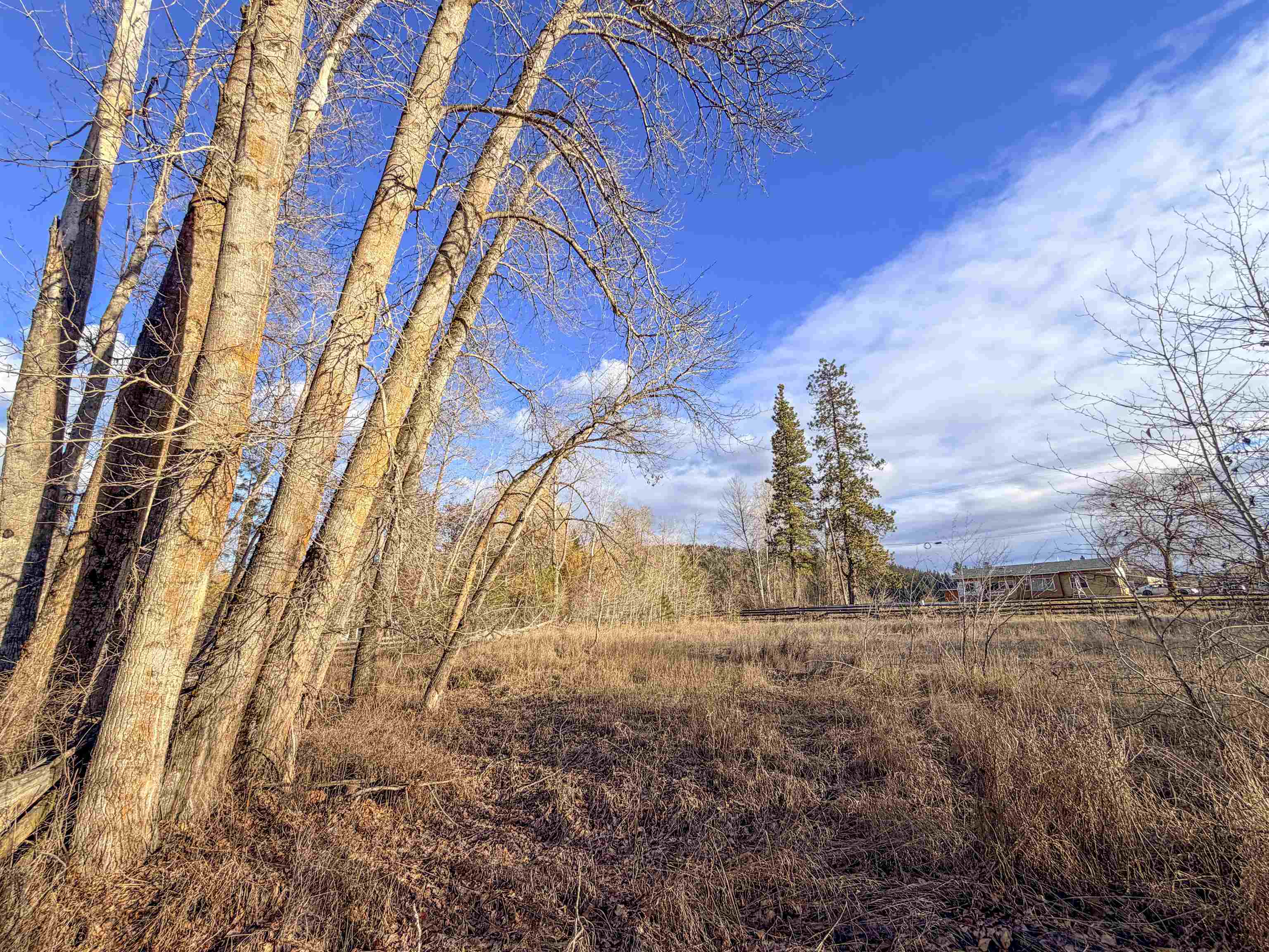 32 X Aladdin Road Colville, WA 99114 - Photo 20 of 27