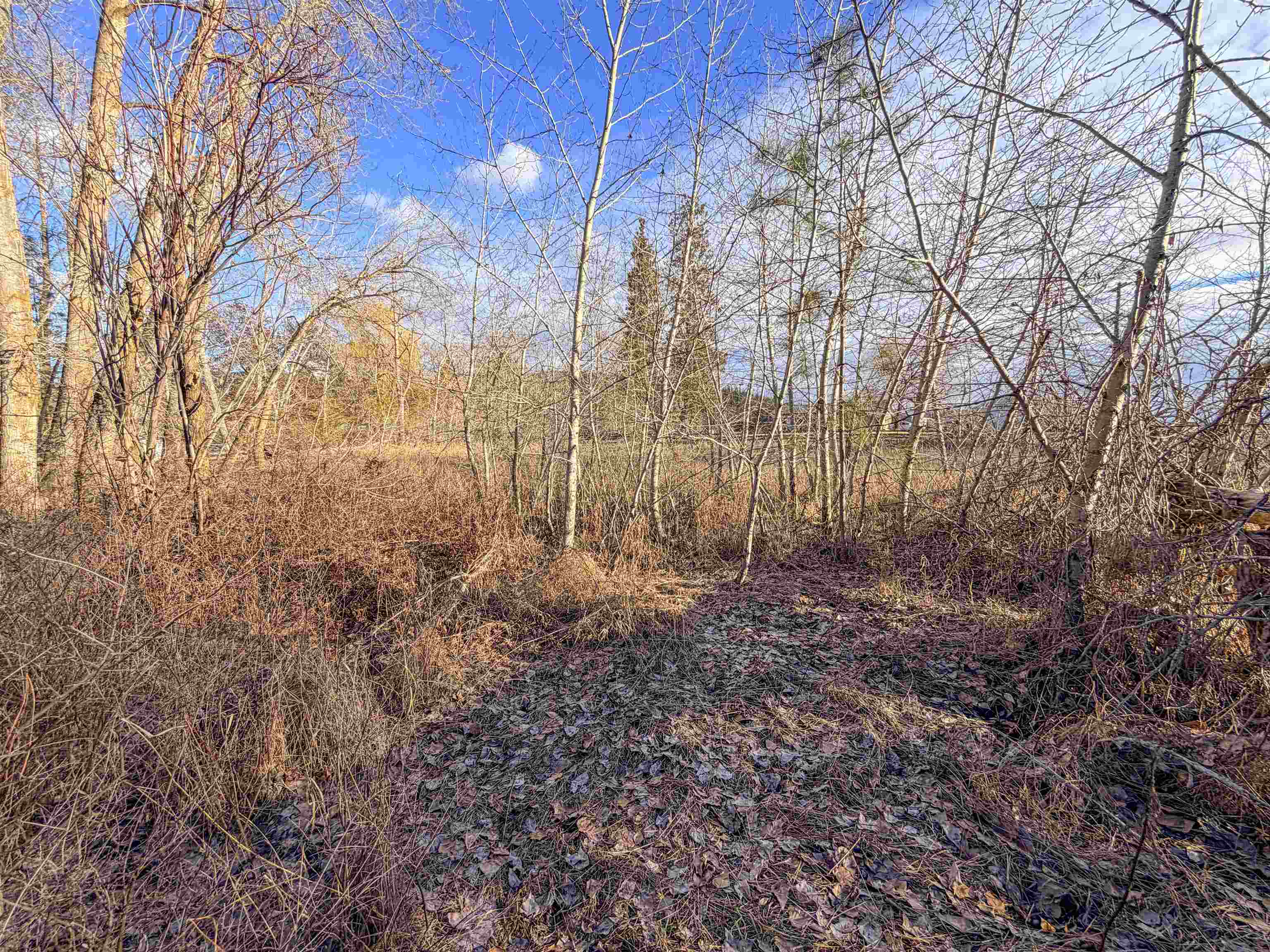 32 X Aladdin Road Colville, WA 99114 - Photo 21 of 27