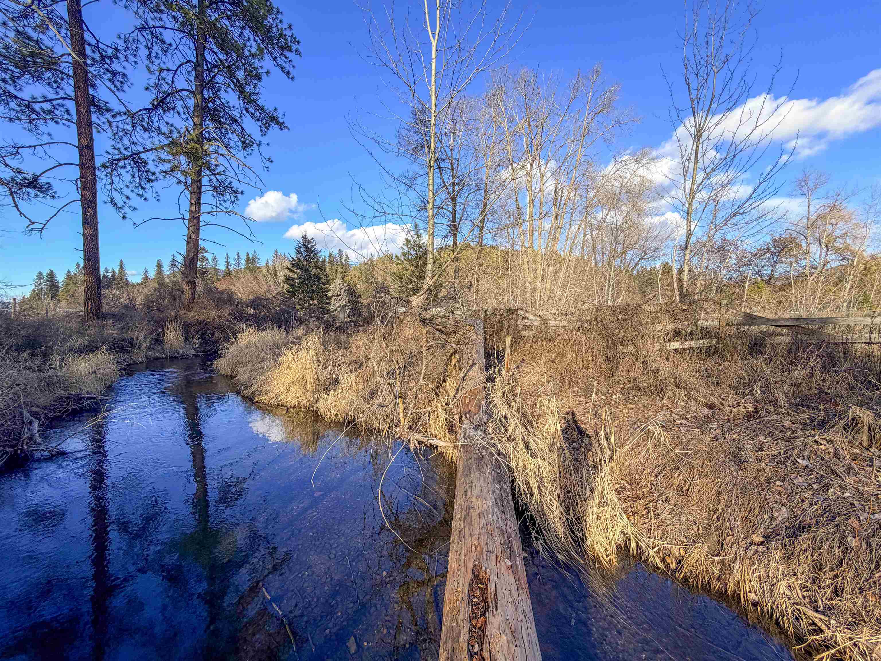 32 X Aladdin Road Colville, WA 99114 - Photo 23 of 27