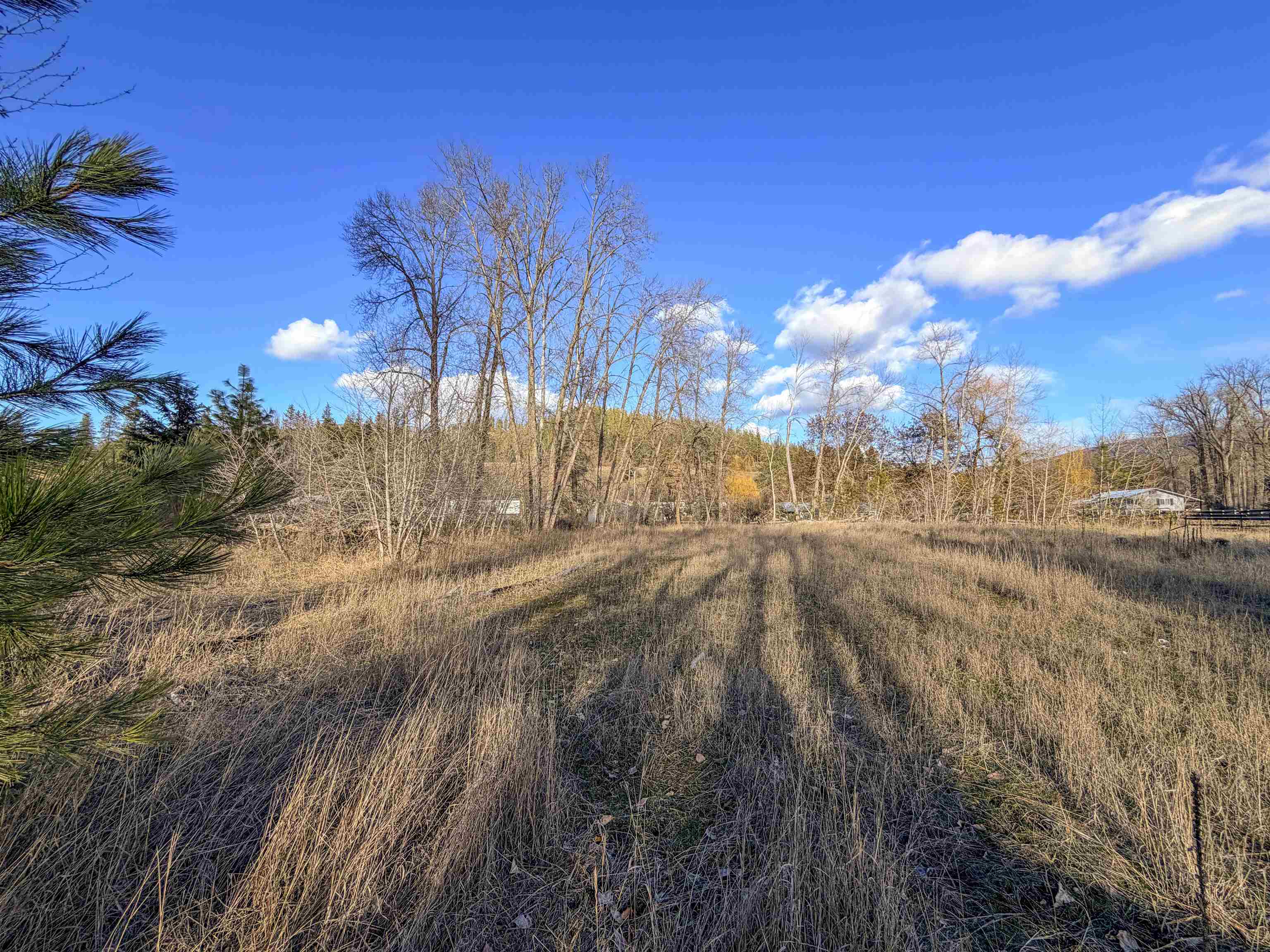 32 X Aladdin Road Colville, WA 99114 - Photo 24 of 27