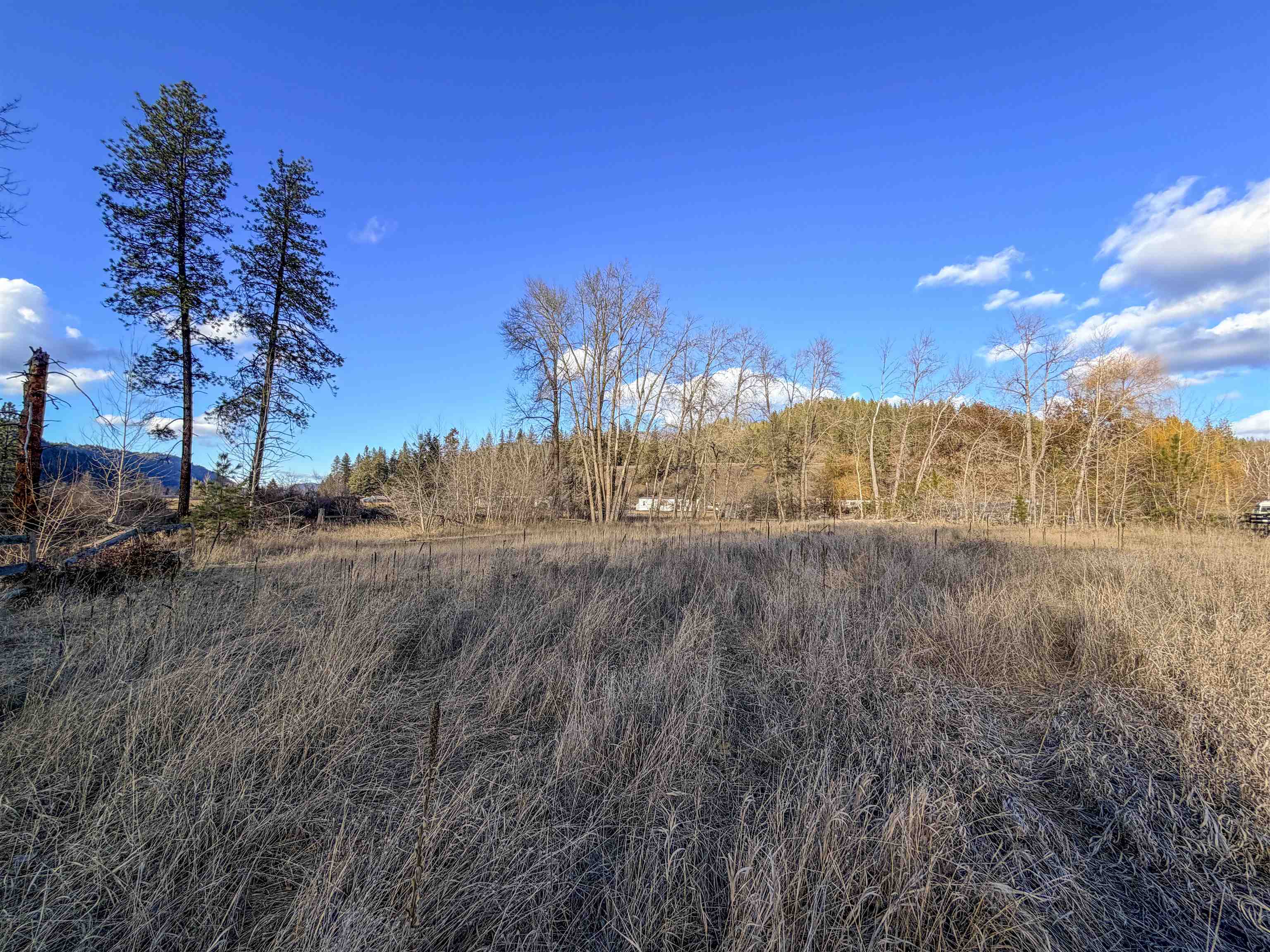 32 X Aladdin Road Colville, WA 99114 - Photo 26 of 27